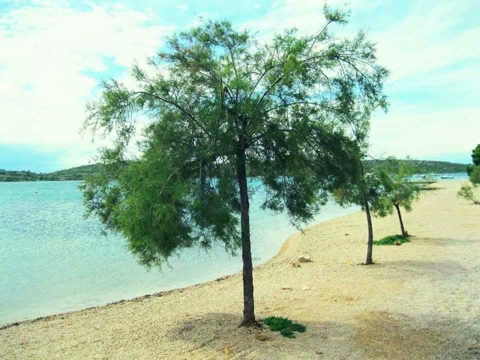 Apartments The Heart Of Croatia Pirovac Bagian luar foto